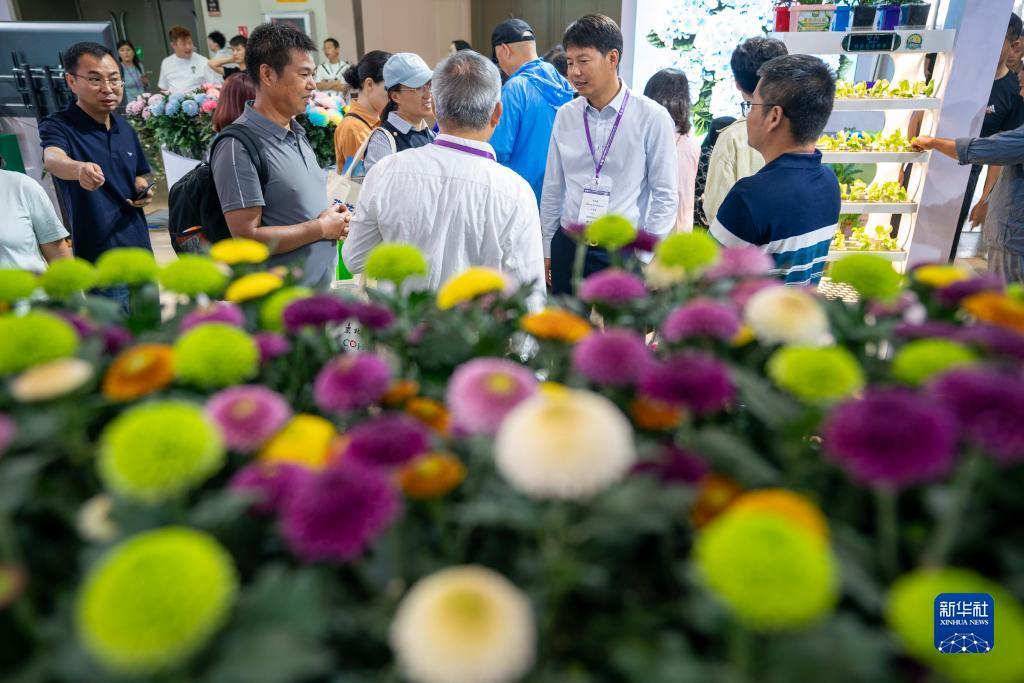 千禧国际游戏网址